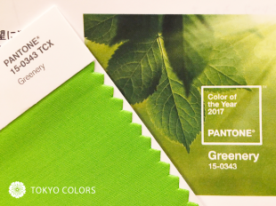 PANTONE®から発表された「2017年の色」